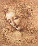 LEONARDO da Vinci Madchenkopf with confused hair Spain oil painting artist